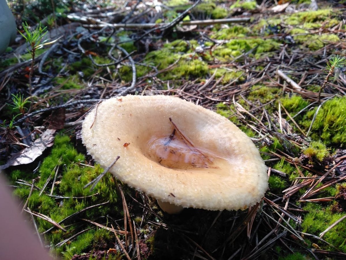 WhatsApp Image 2023-08-09 at 18.15.04(2).jpeg