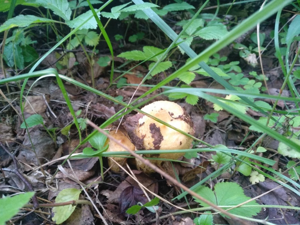 WhatsApp Image 2023-08-02 at 09.22.40.jpeg