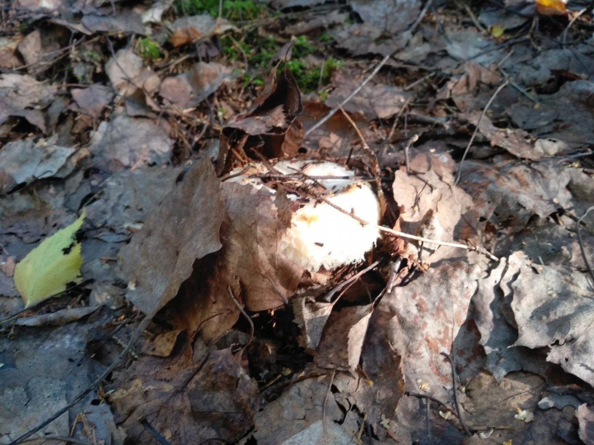 WhatsApp Image 2023-08-02 at 09.22.41.jpeg