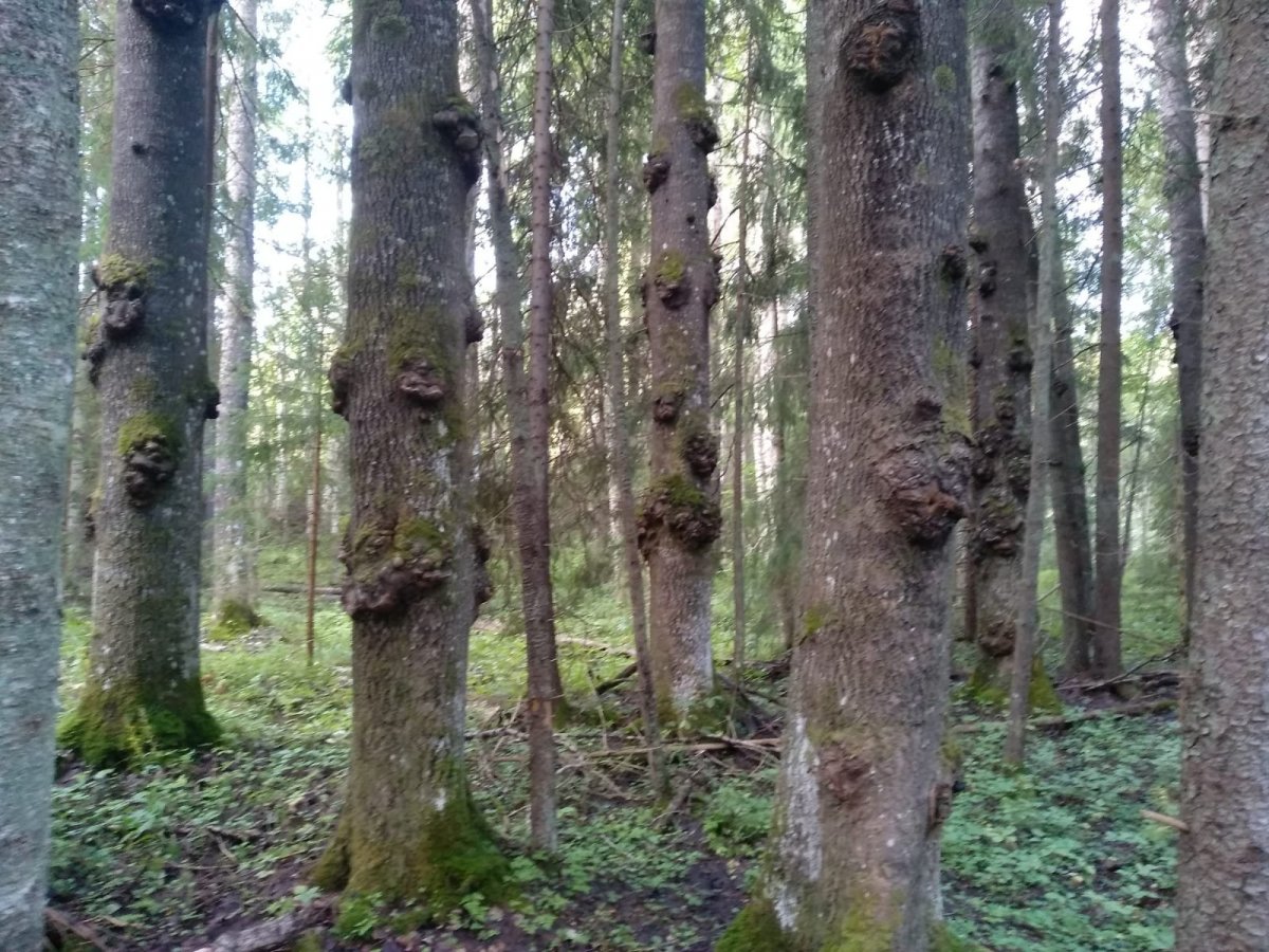 WhatsApp Image 2023-08-15 at 07.41.00.jpeg