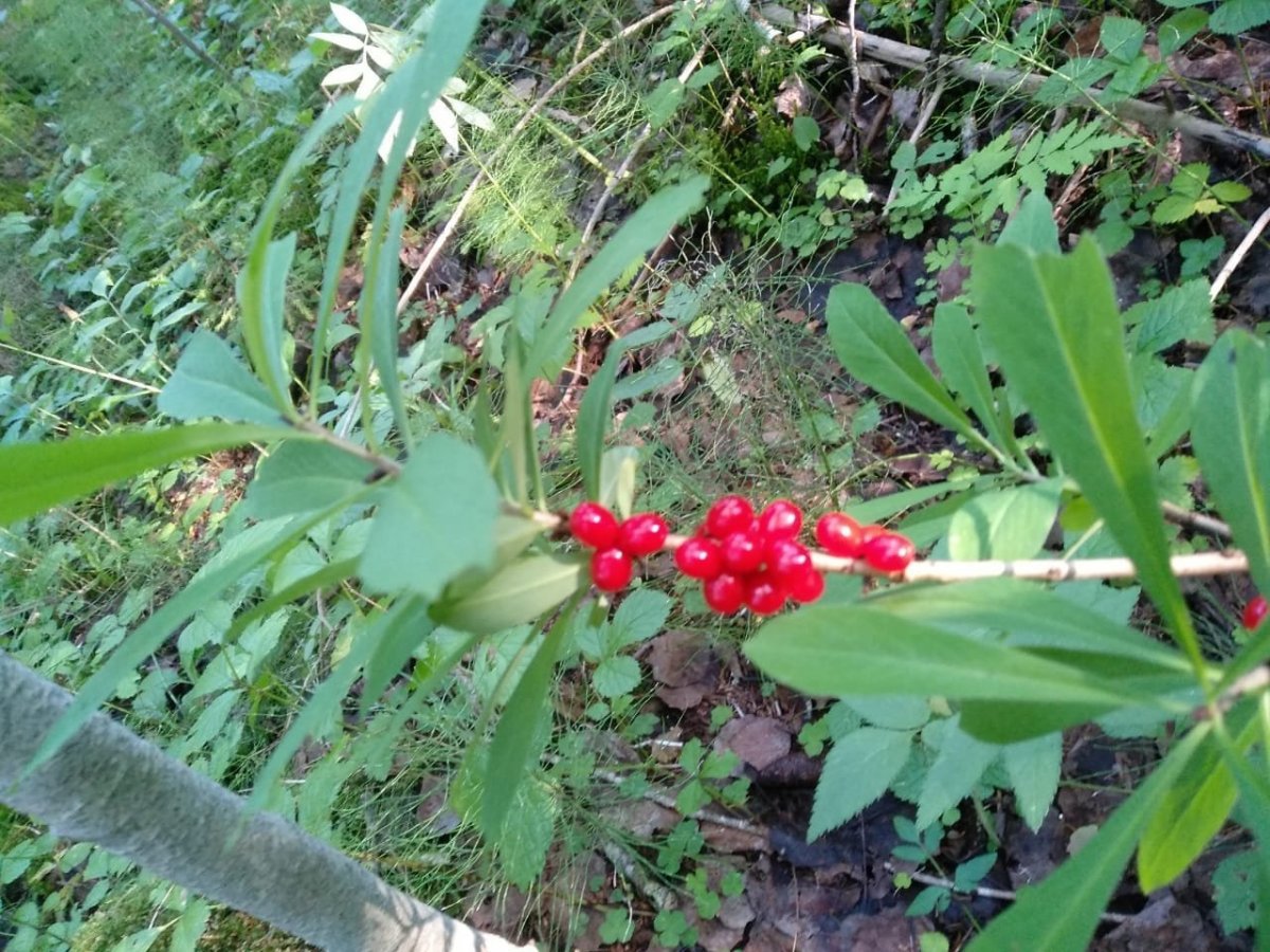 WhatsApp Image 2023-08-01 at 17.20.07.jpeg