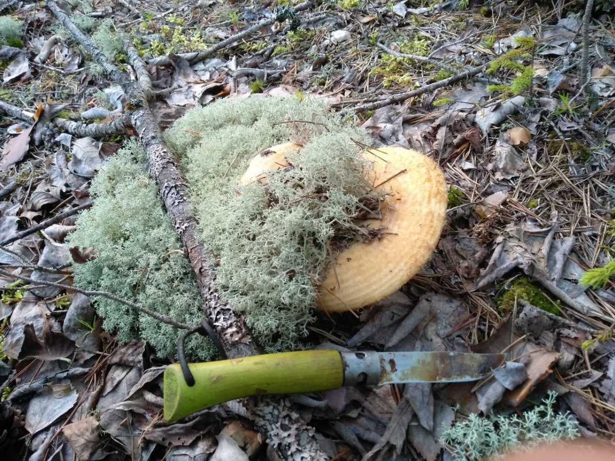 WhatsApp Image 2023-08-09 at 18.15.06.jpeg