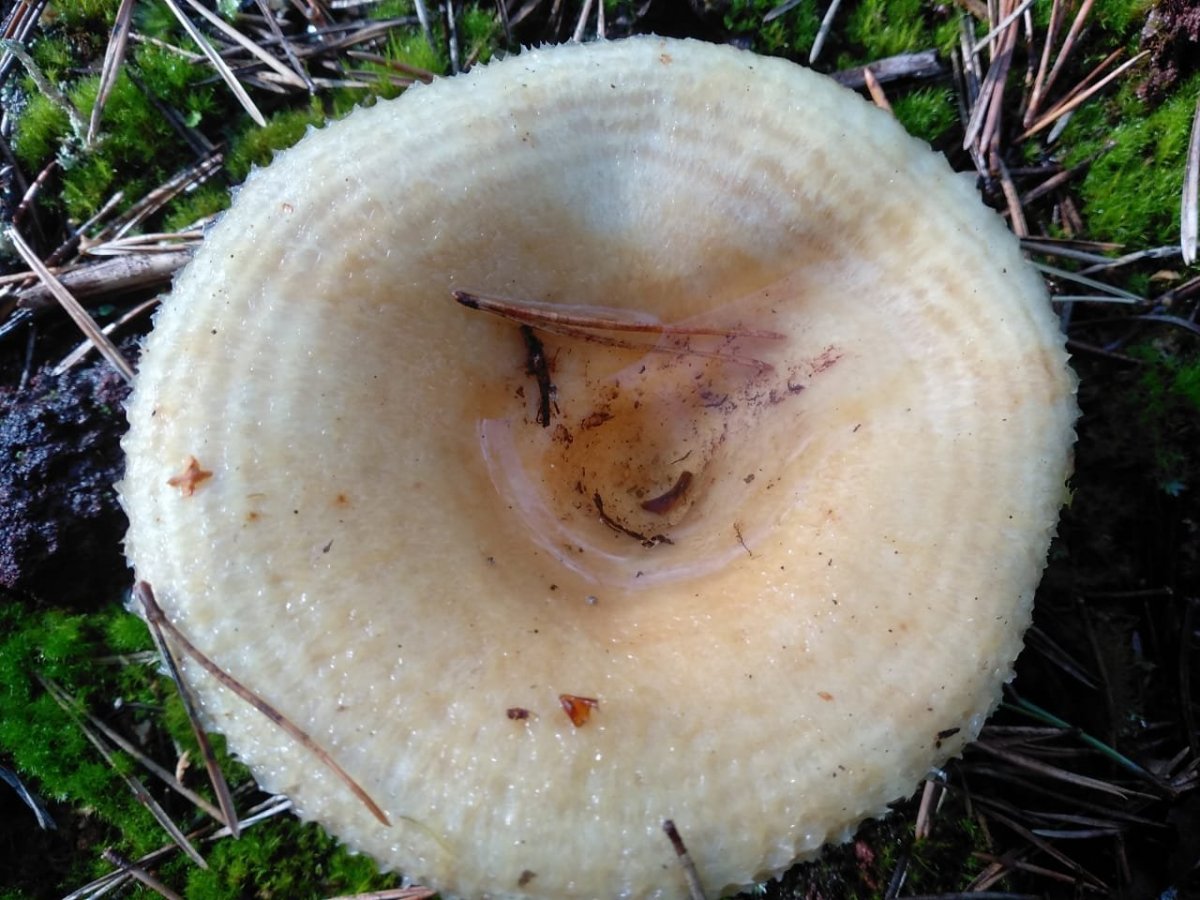 WhatsApp Image 2023-08-09 at 18.15.04(1).jpeg