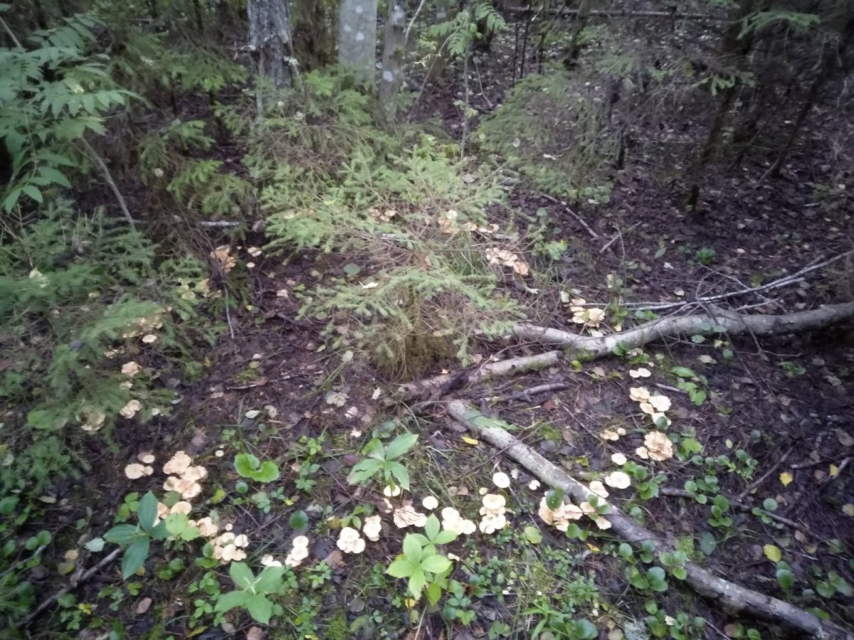 WhatsApp Image 2023-08-15 at 07.41.03.jpeg