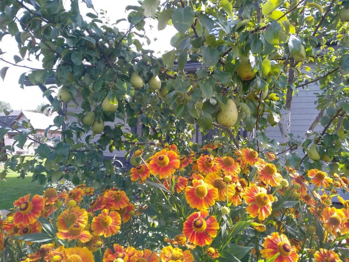 WhatsApp Image 2023-08-26 at 07.52.25(1).jpeg