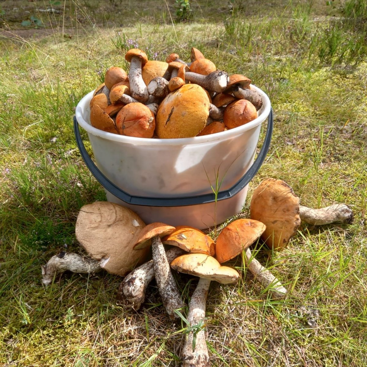 WhatsApp Image 2023-08-24 at 18.38.45.jpeg