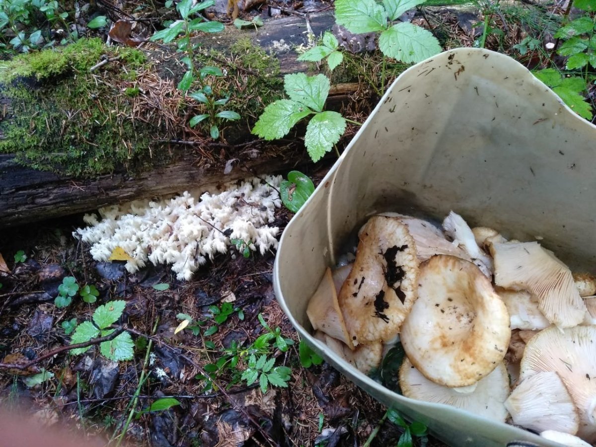 WhatsApp Image 2023-08-09 at 18.15.04.jpeg