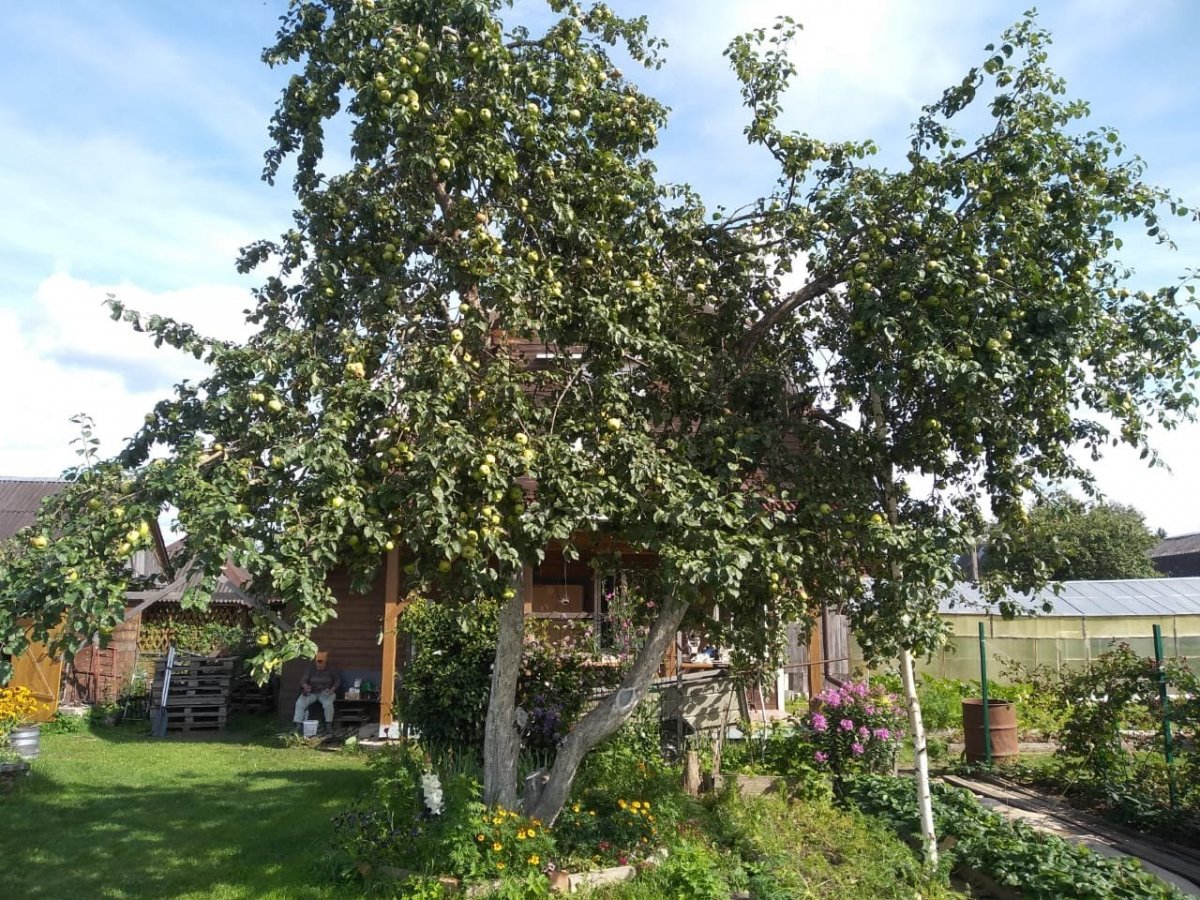 WhatsApp Image 2023-08-26 at 07.52.26.jpeg