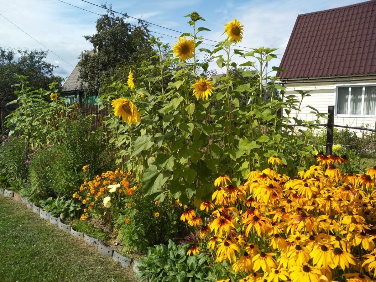 WhatsApp Image 2023-08-26 at 07.52.26(1).jpeg