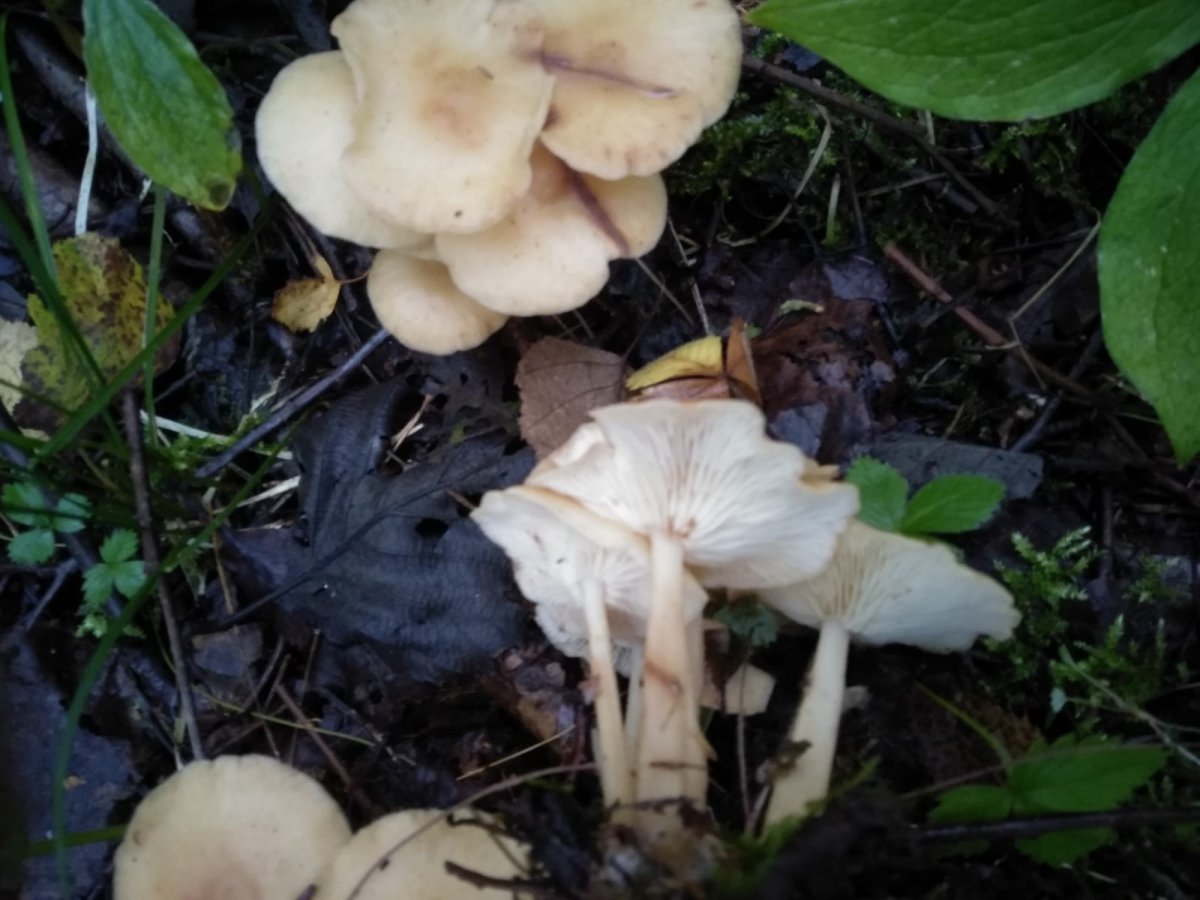 WhatsApp Image 2023-08-15 at 07.41.02.jpeg