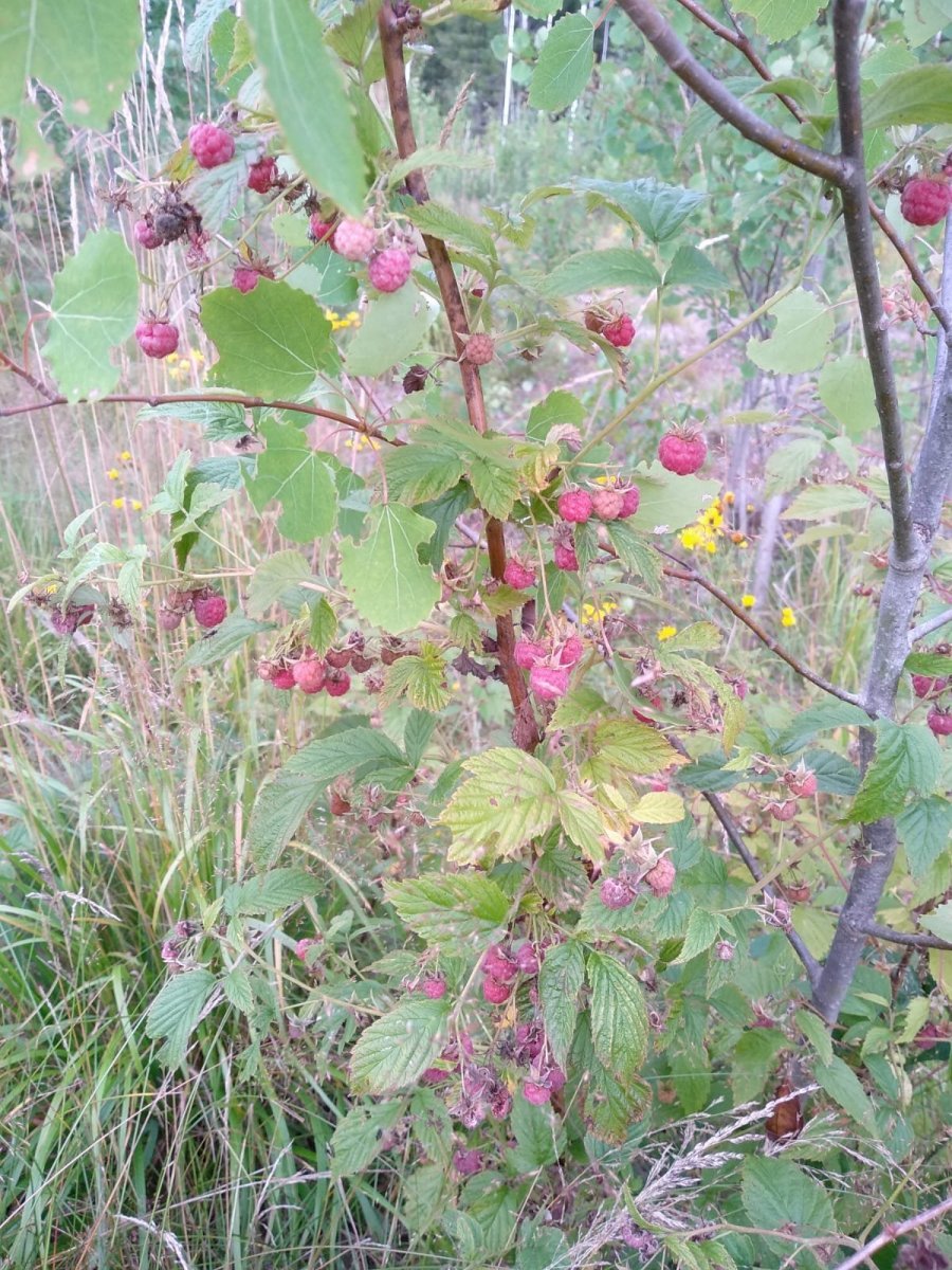 WhatsApp Image 2023-08-03 at 10.02.21(1).jpeg