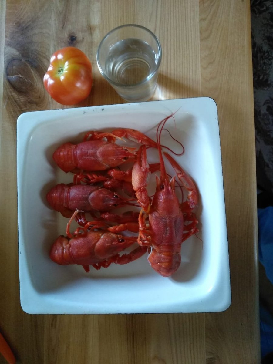 WhatsApp Image 2023-08-26 at 07.52.27.jpeg