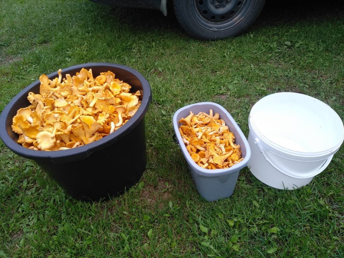 WhatsApp Image 2023-08-23 at 17.05.47.jpeg