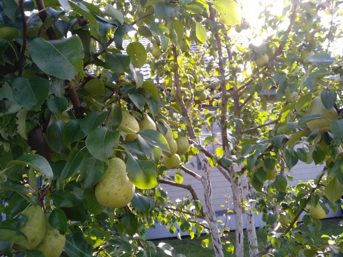 WhatsApp Image 2023-08-26 at 07.52.25(2).jpeg