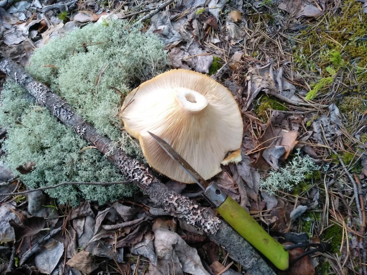 WhatsApp Image 2023-08-09 at 18.15.05(2).jpeg