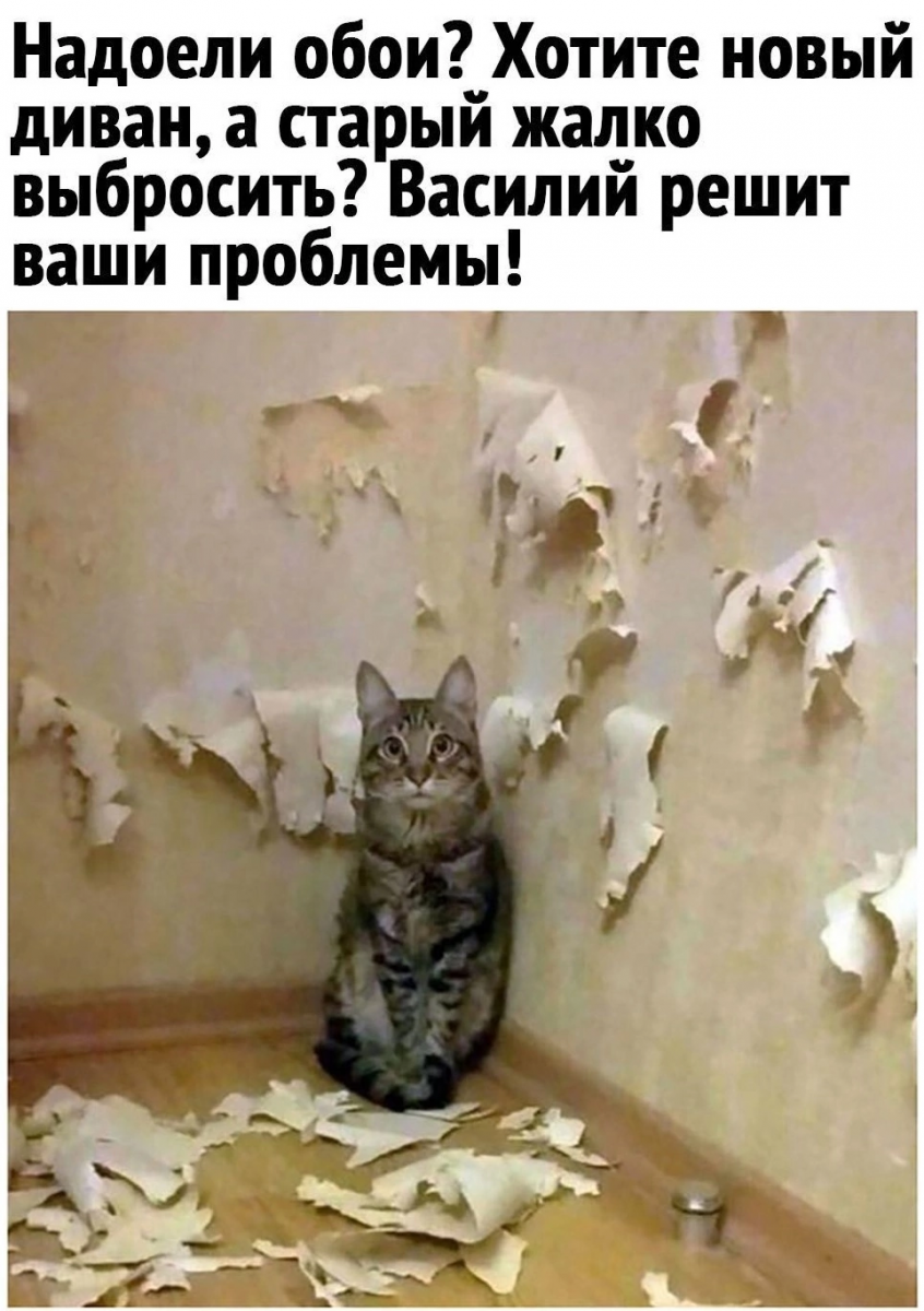 IMG_8390.thumb.png.1a1e73481d50ef72cb9d338de9e39ef4.png