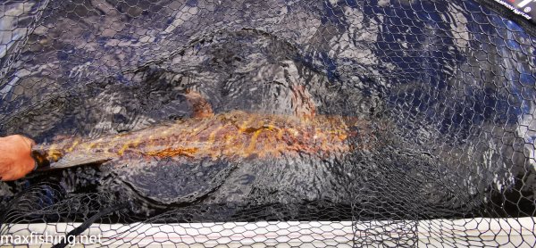 2 часа откачивания