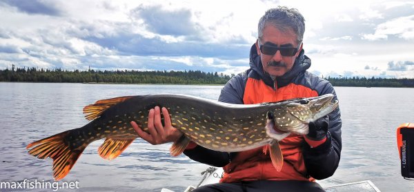 Грамм 600 на вид