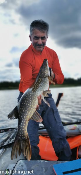 Полкилишник