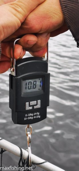 Жаль руки не мои