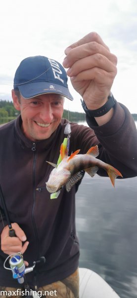 Окунь 740 грамм