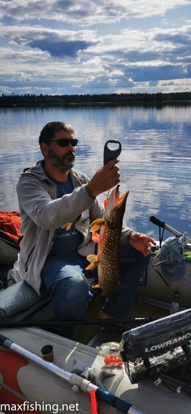 Скока-скока?