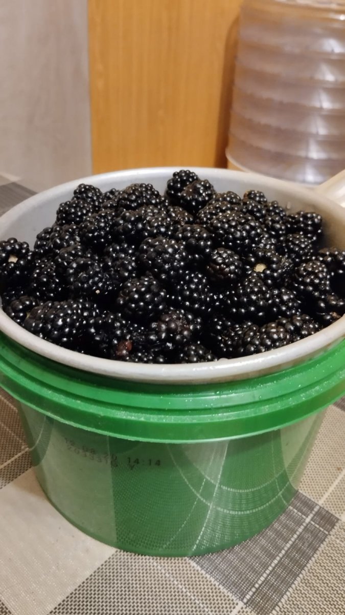 WhatsApp Image 2023-09-25 at 21.17.30.jpeg