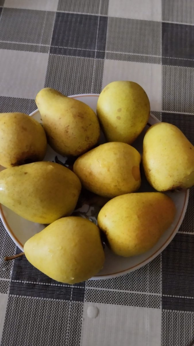 WhatsApp Image 2023-09-16 at 17.35.55(2).jpeg