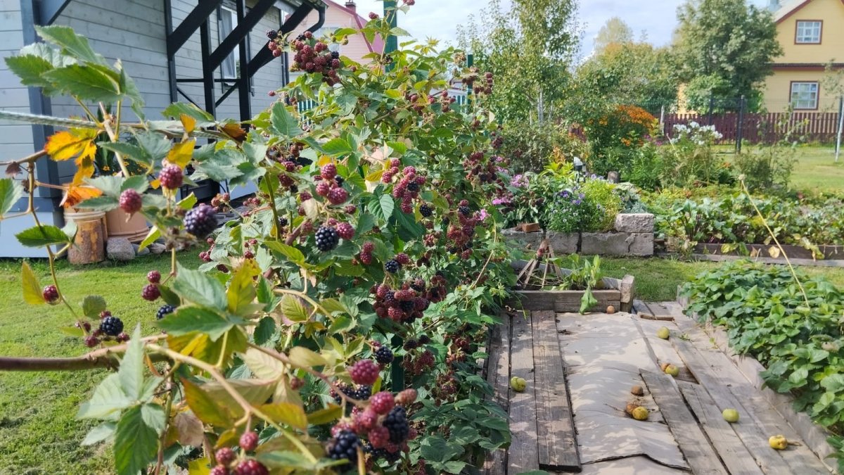 WhatsApp Image 2023-09-16 at 17.35.56(3).jpeg