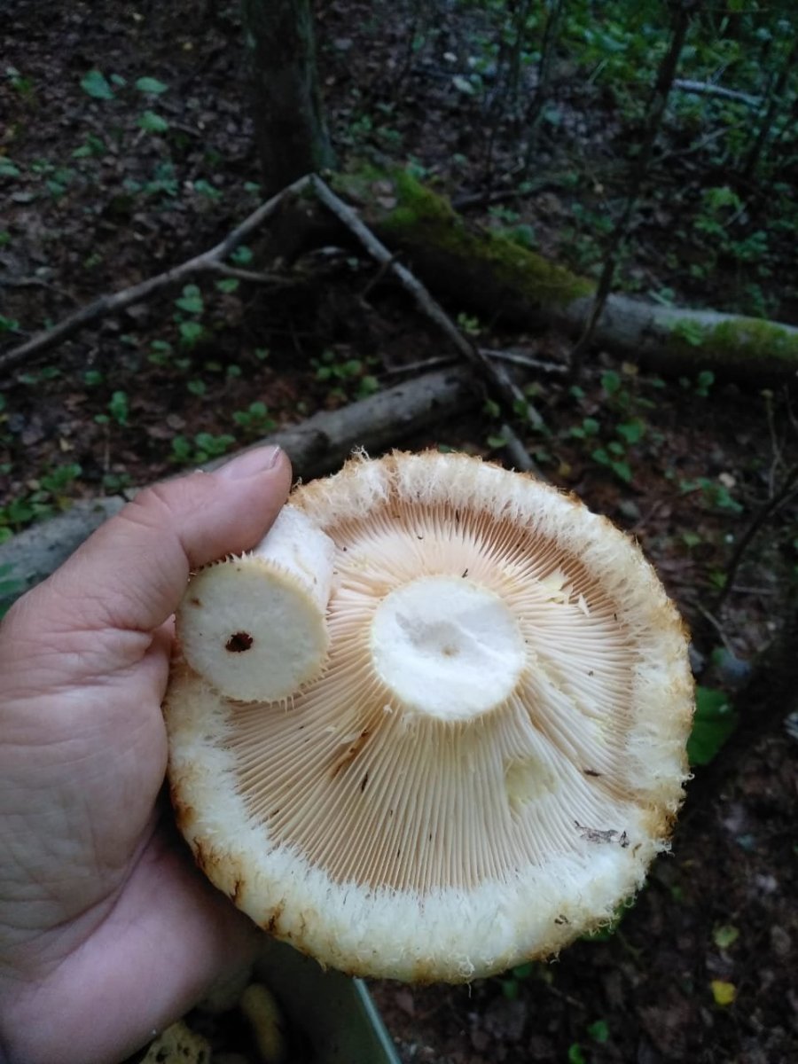 WhatsApp Image 2023-08-30 at 14.55.34.jpeg