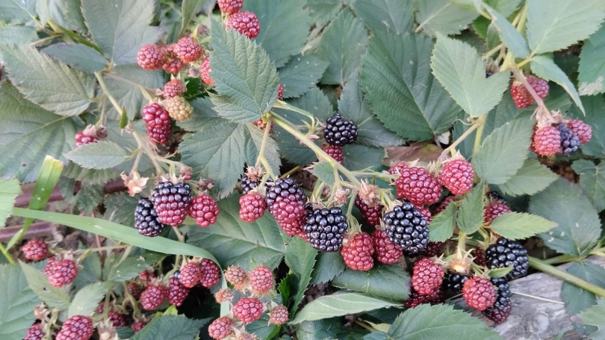 WhatsApp Image 2023-09-16 at 18.23.29.jpeg