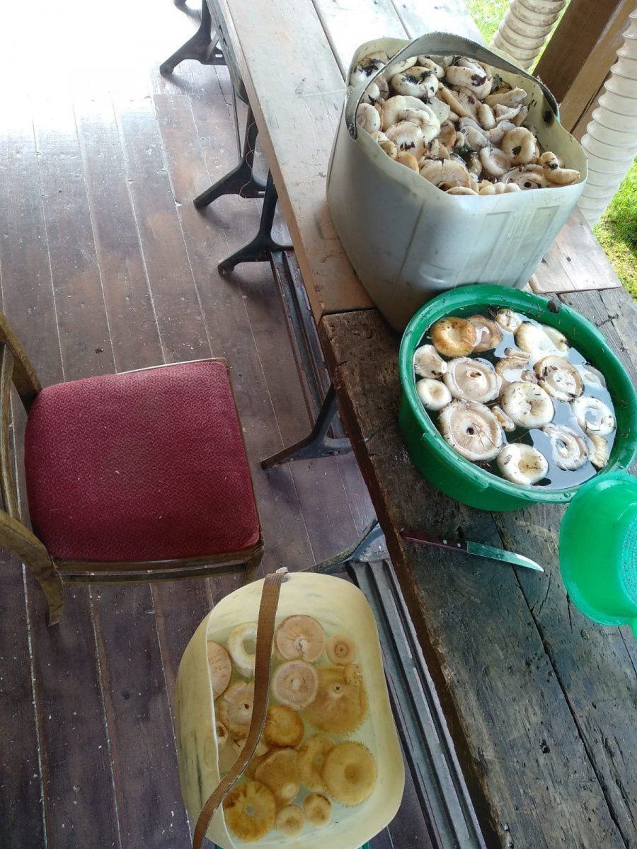 WhatsApp Image 2023-09-04 at 11.54.08.jpeg