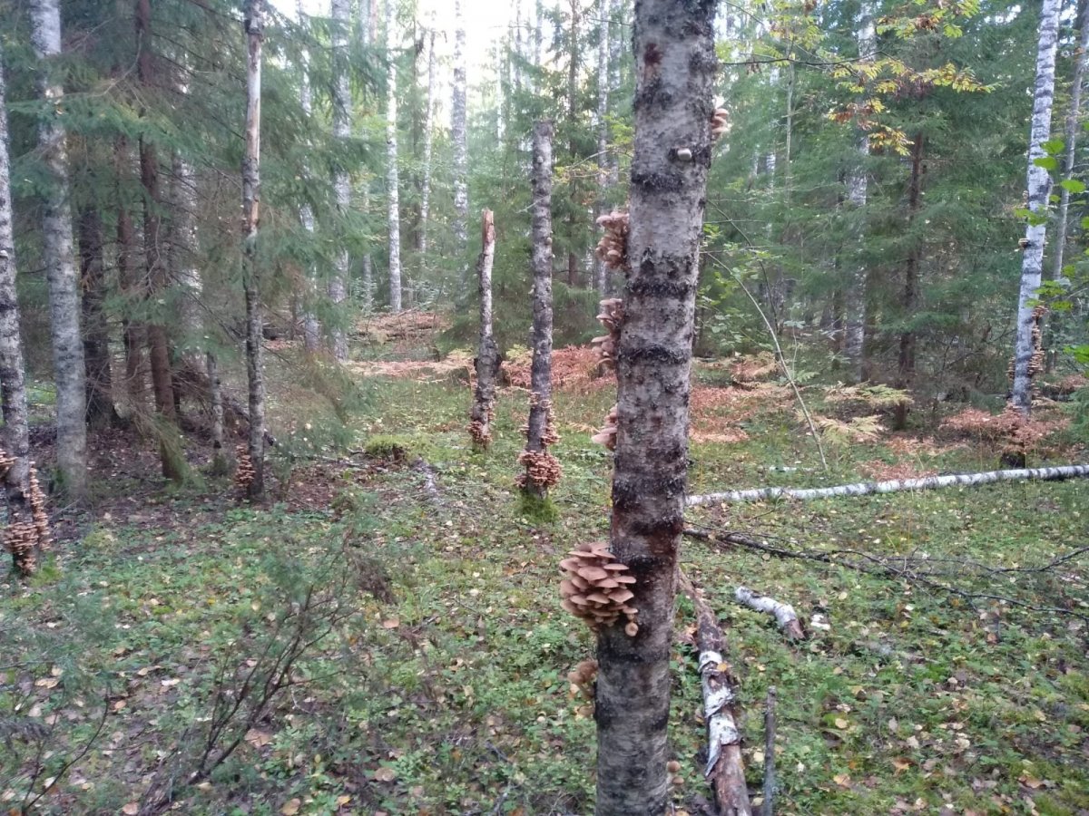 WhatsApp Image 2023-09-14 at 19.22.07(1).jpeg