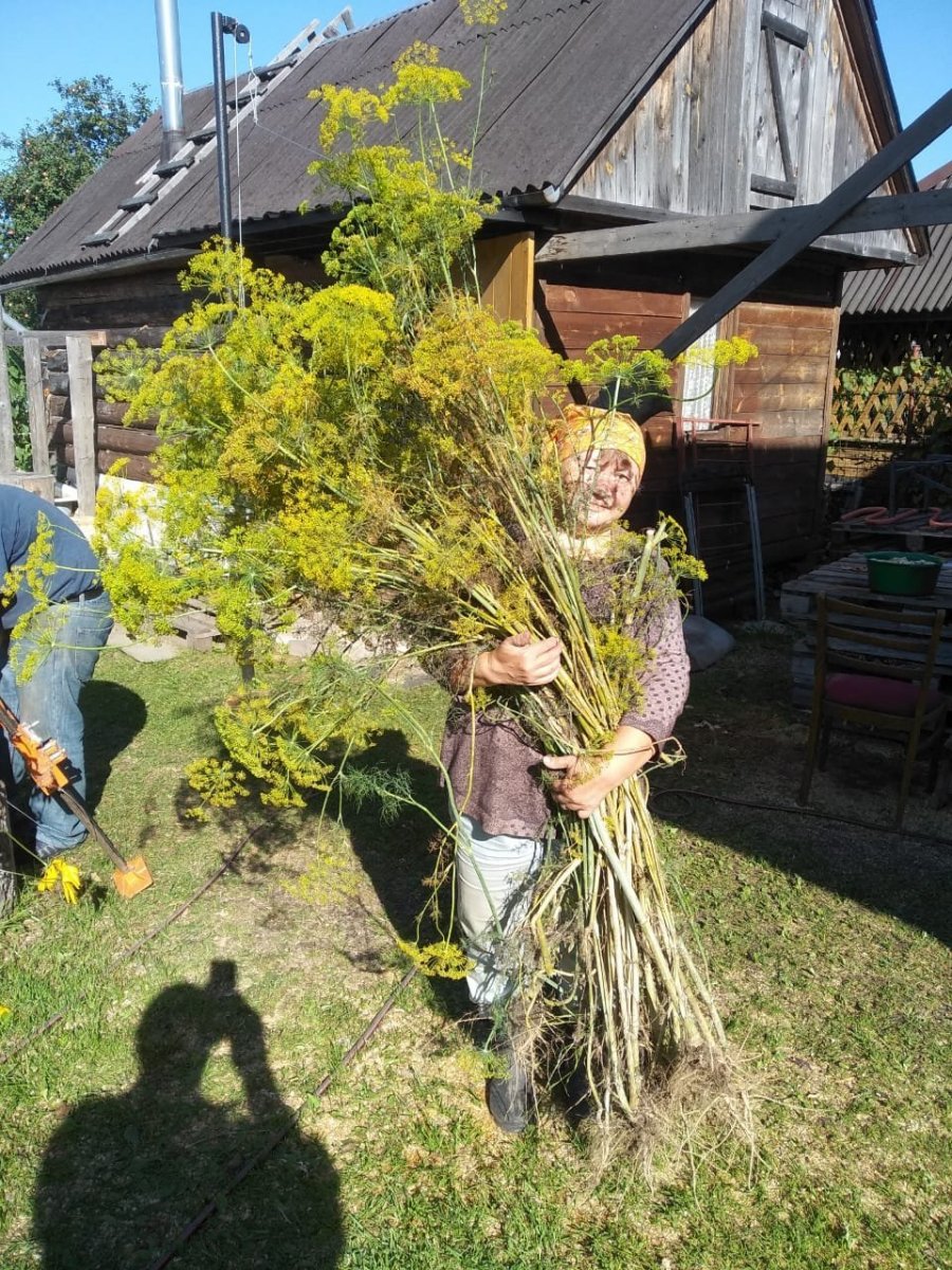 WhatsApp Image 2023-09-10 at 19.01.47.jpeg