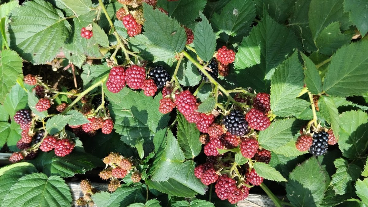 WhatsApp Image 2023-09-16 at 17.35.56(1).jpeg