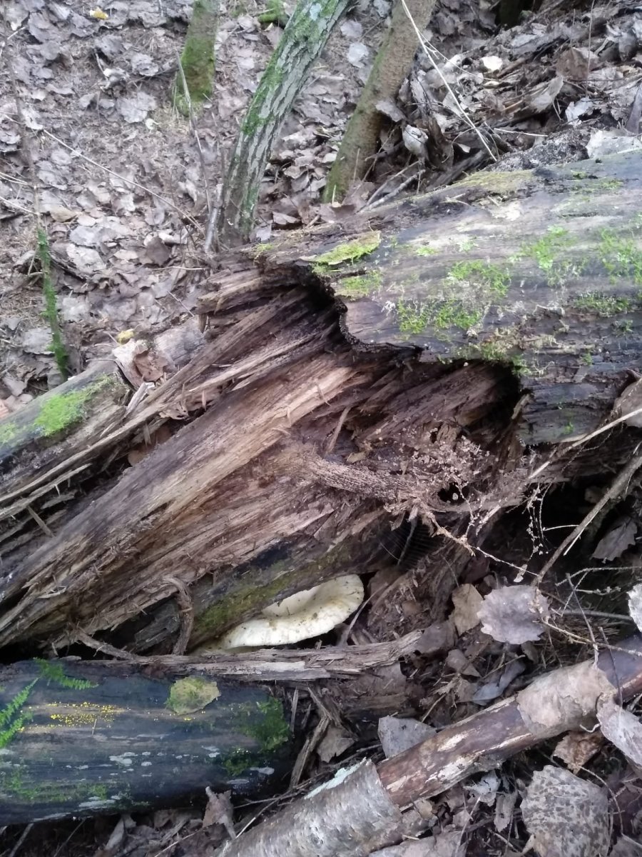 WhatsApp Image 2023-09-04 at 11.54.06.jpeg