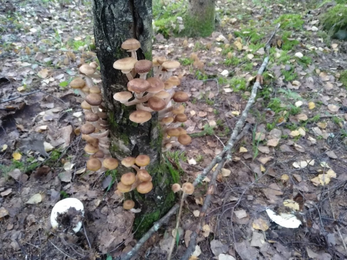 WhatsApp Image 2023-09-14 at 19.22.08.jpeg