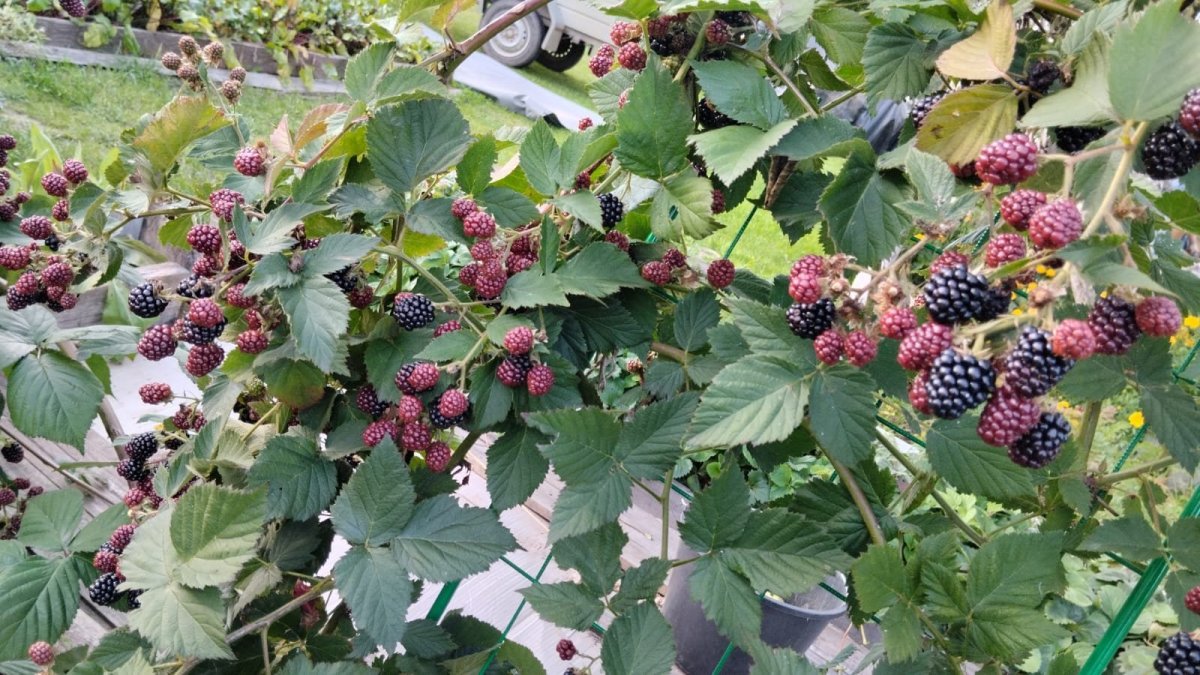 WhatsApp Image 2023-09-16 at 18.23.30(2).jpeg