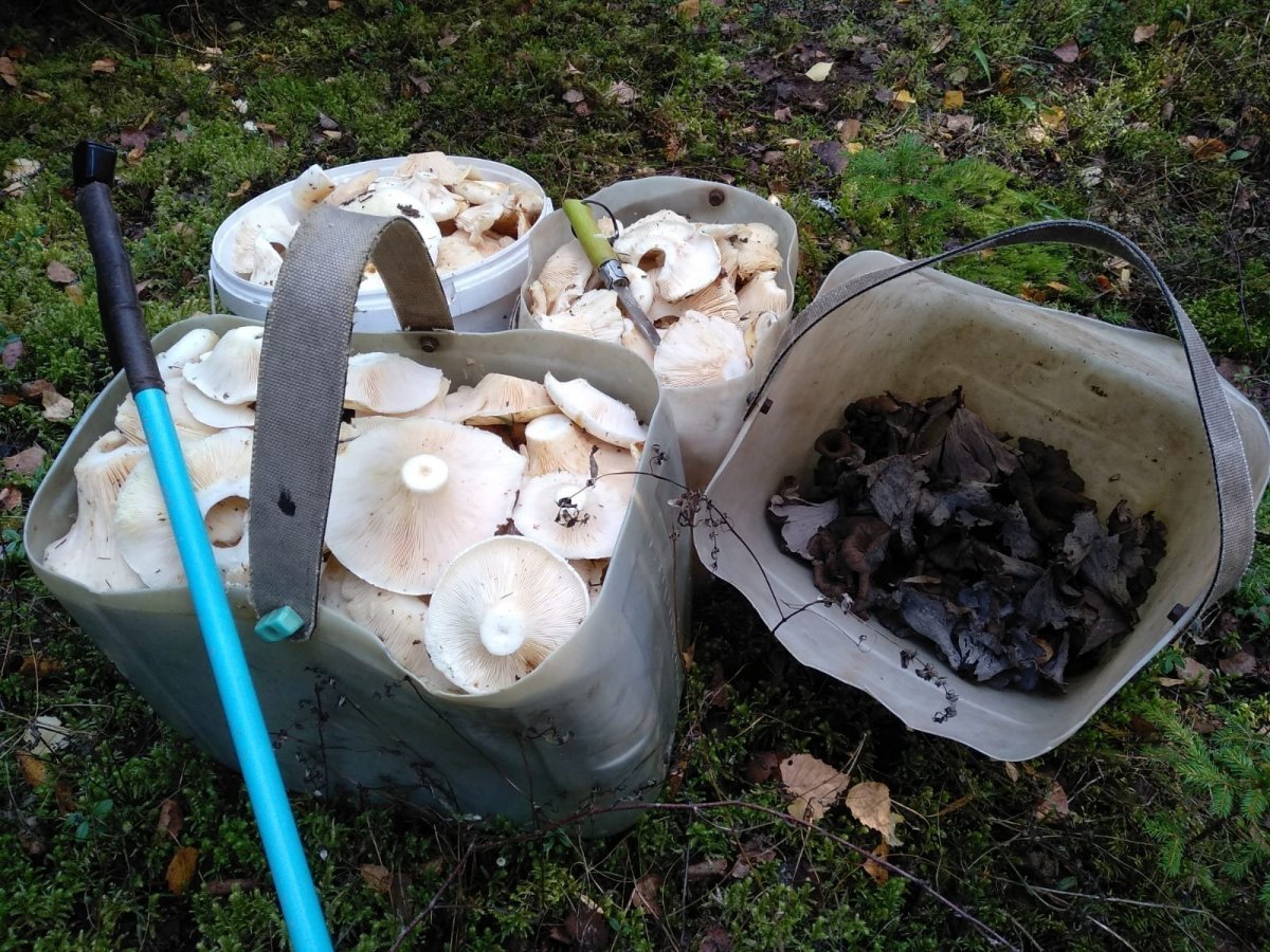 WhatsApp Image 2023-09-14 at 19.22.05(2).jpeg