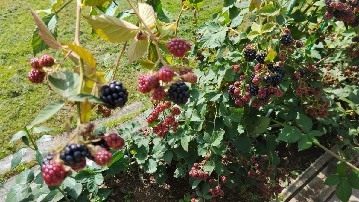 WhatsApp Image 2023-09-16 at 17.35.57.jpeg