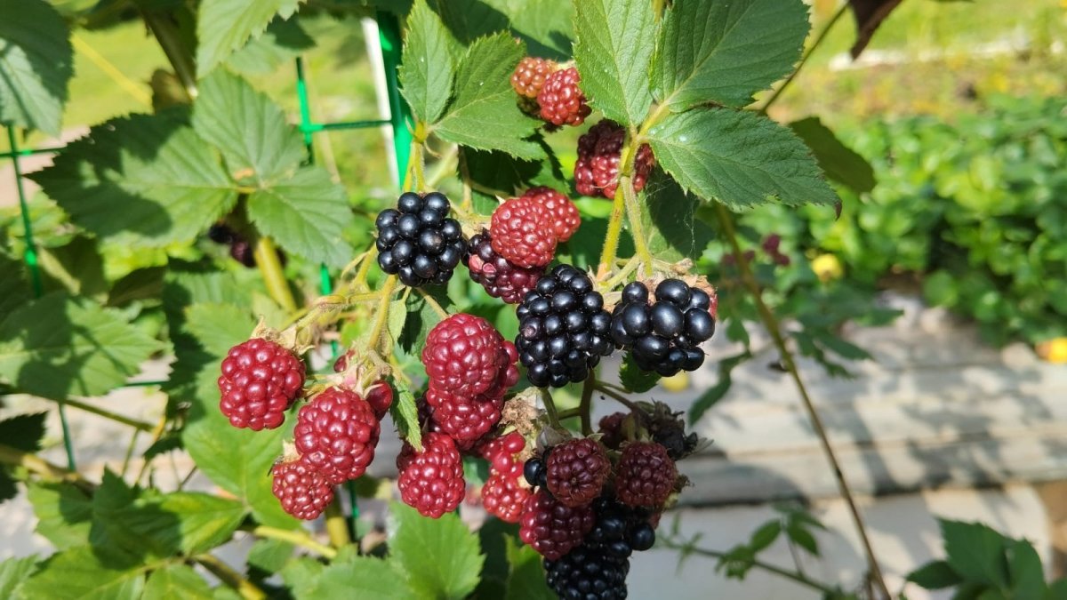 WhatsApp Image 2023-09-16 at 17.35.56(2).jpeg