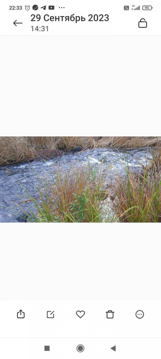 Screenshot_2023-09-29-22-33-55-584_com.miui.gallery.jpg