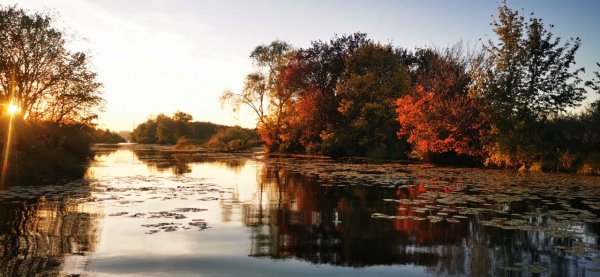 Погода была хорошая