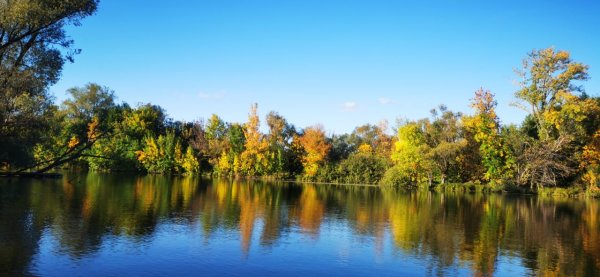 Погода была хорошая