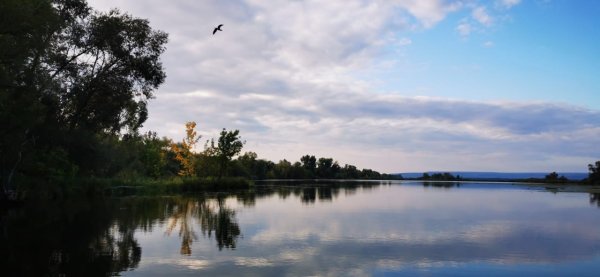 Погода была хорошая