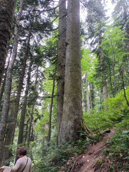 Сочи 2023_10-min.JPG