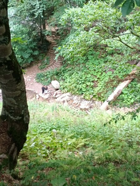 Сочи 2023_9-min.JPG