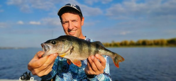 70 грамм окунь и руки Поповцева