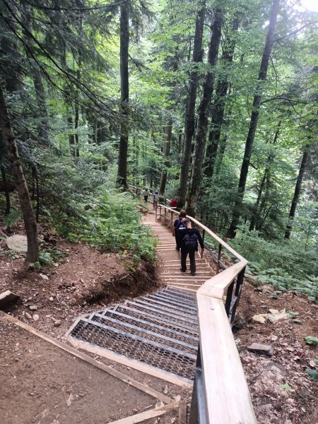 Сочи 2023_8-min.JPG