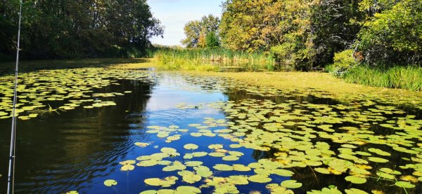 Погода была хорошая
